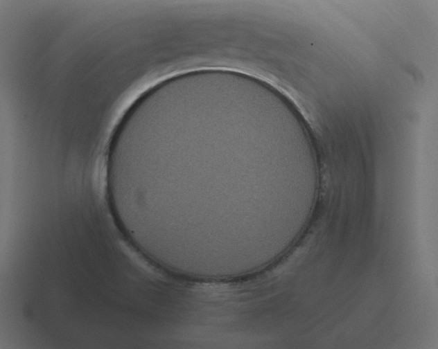 X0000116481511200912292036