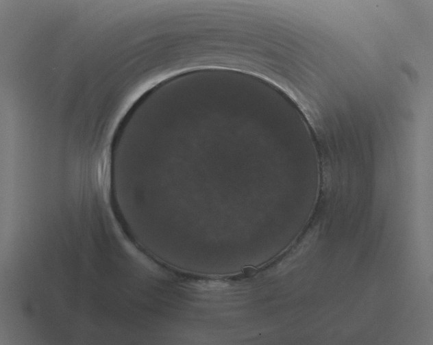 X0000116481515200912292036