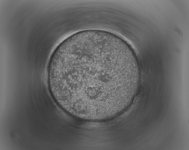 X0000116481517200912292036