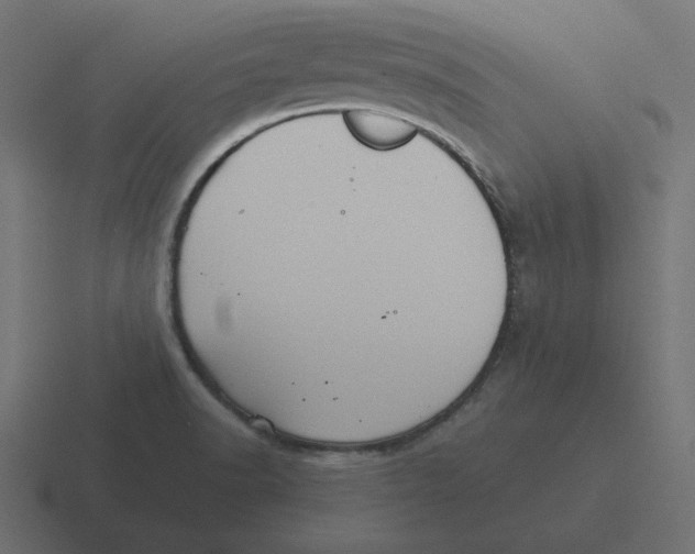 X0000116481518200912292036