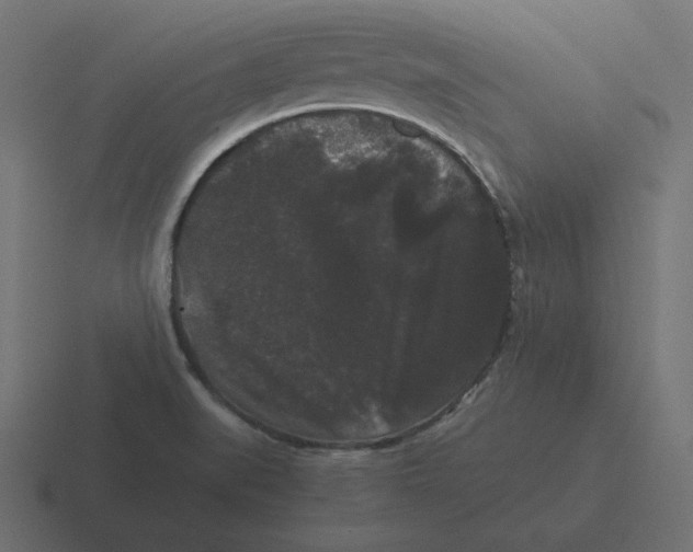 X0000116481519200912292036