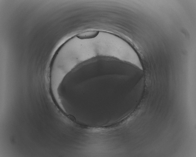 X0000116481522200912292036