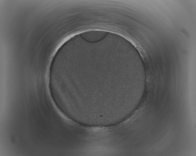 X0000116481523200912292036