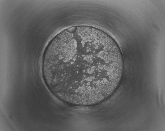 X0000116481525200912292036