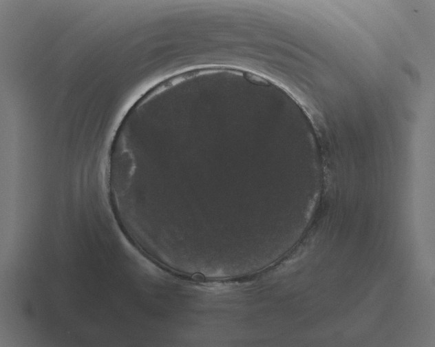 X0000116481527200912292036