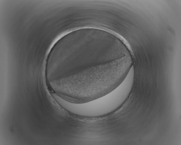 X0000116481530200912292036