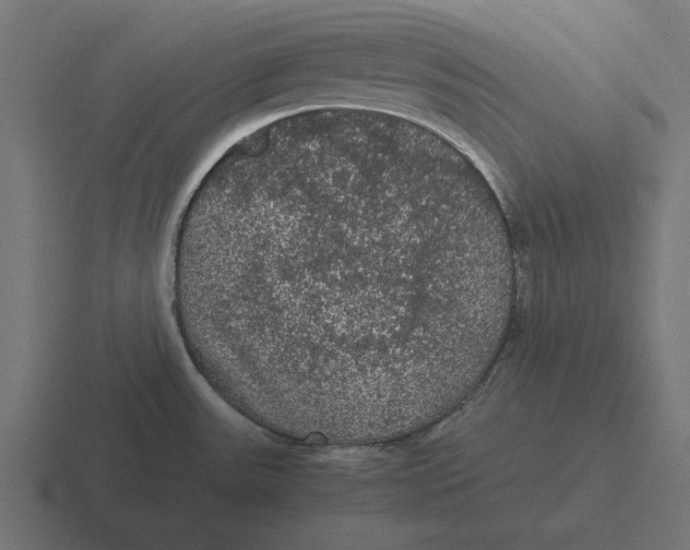 X0000116481531200912292036