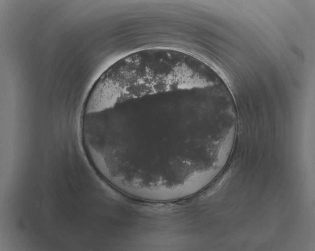 X0000116481533200912292036