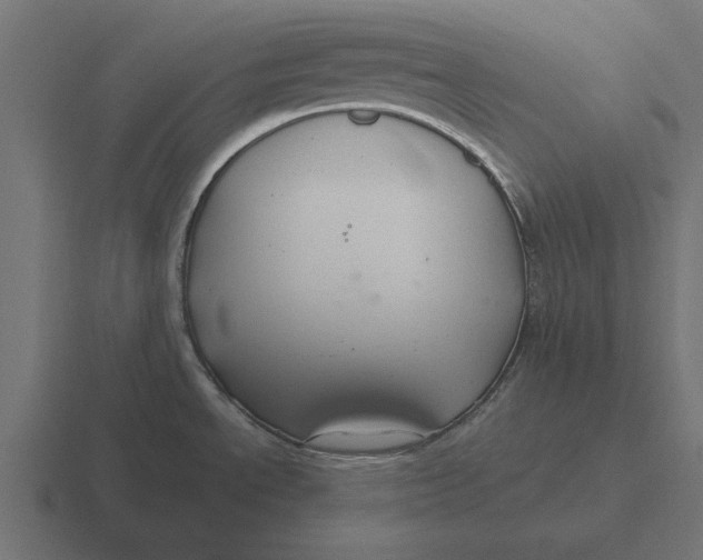 X0000116481534200912292036