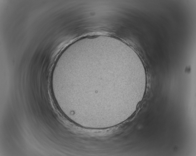 X0000116480001201001061130