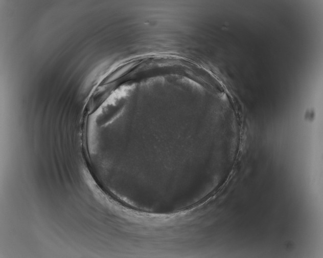 X0000116480002201001061130