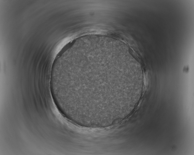 X0000116480003201001061130