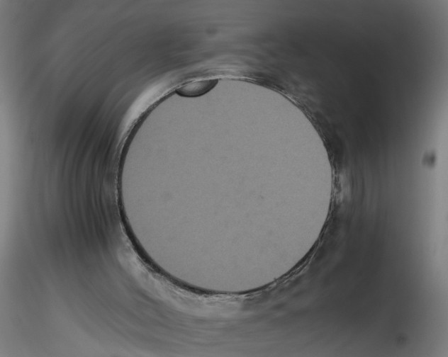 X0000116480004201001061130