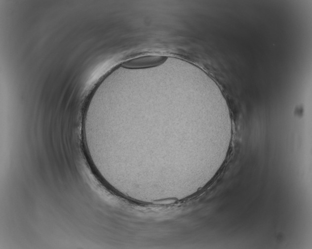 X0000116480005201001061130