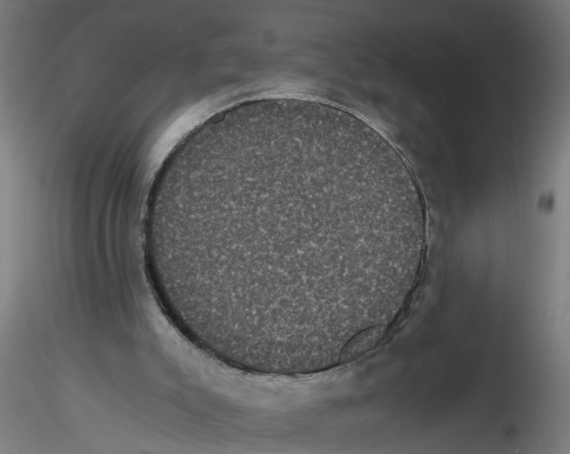 X0000116480007201001061130