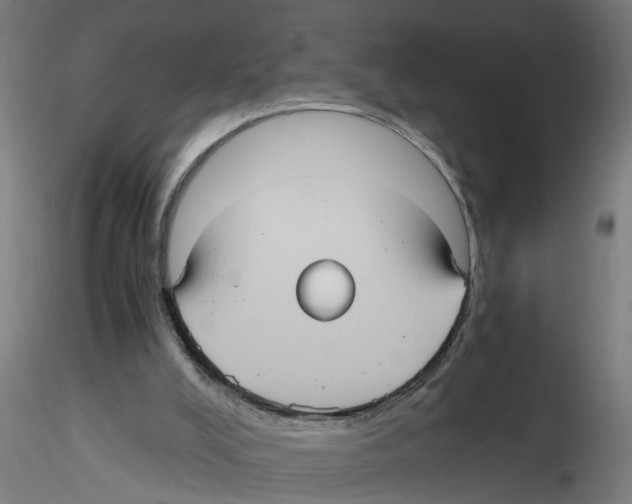 X0000116480008201001061130