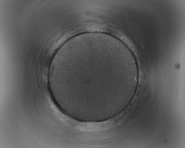 X0000116480009201001061130