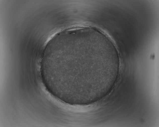 X0000116480010201001061130