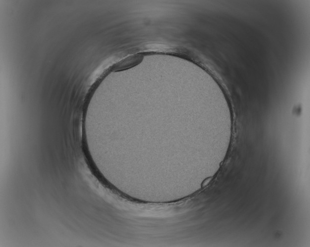 X0000116480011201001061129