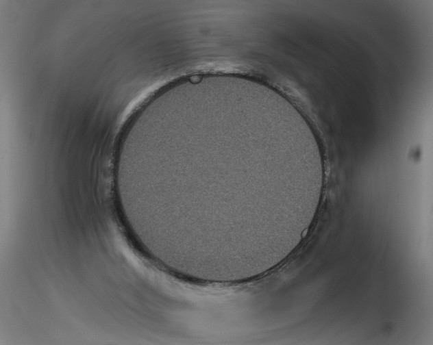 X0000116480012201001061129