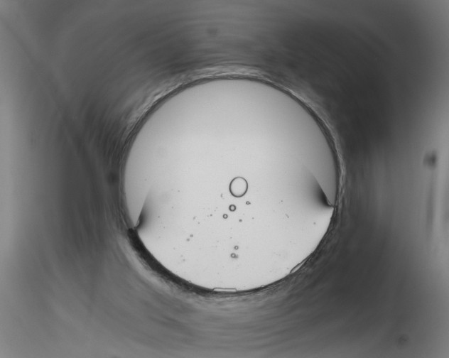 X0000116480013201001061129