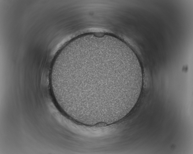 X0000116480015201001061129