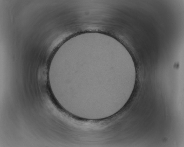 X0000116480016201001061129