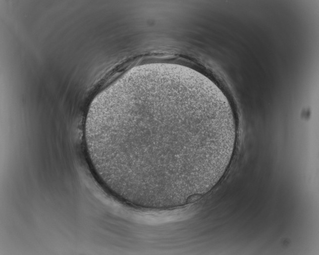 X0000116480017201001061129