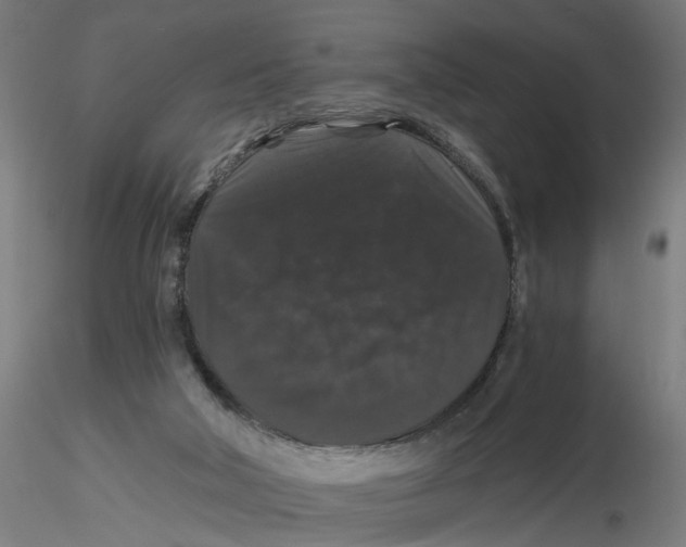 X0000116480018201001061129