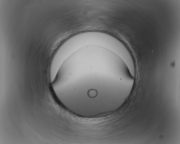 X0000116480019201001061129