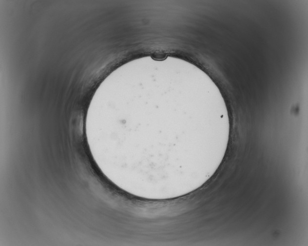 X0000116480021201001061129