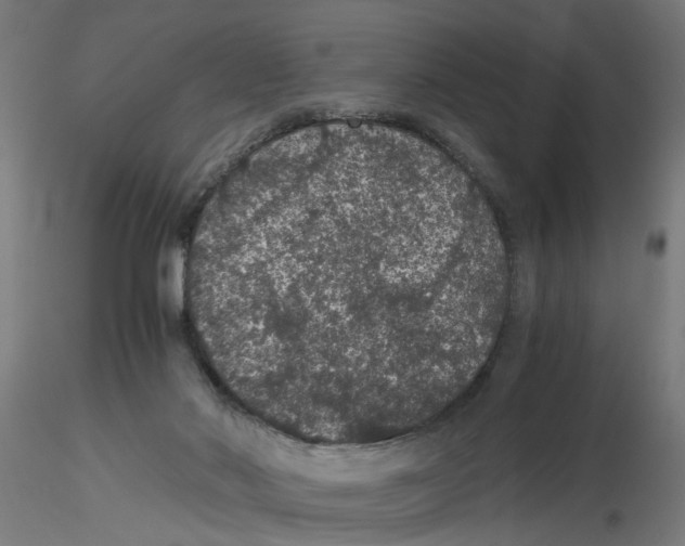 X0000116480022201001061129