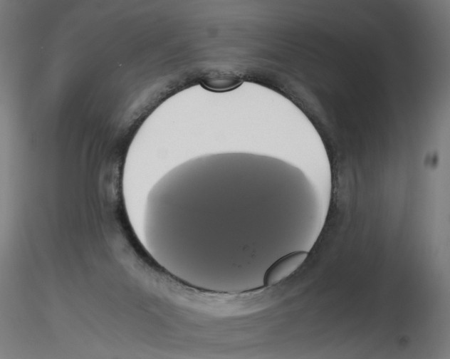 X0000116480023201001061129