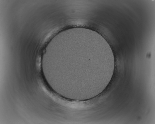 X0000116480024201001061129