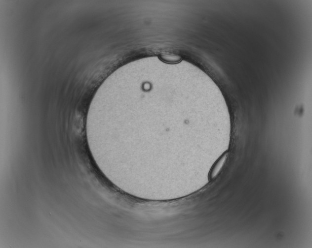 X0000116480025201001061129