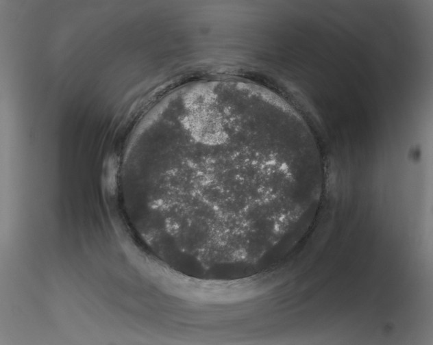 X0000116480026201001061129