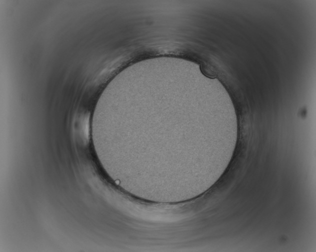 X0000116480028201001061129