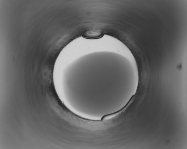 X0000116480031201001061129