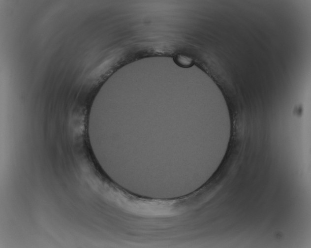 X0000116480032201001061129