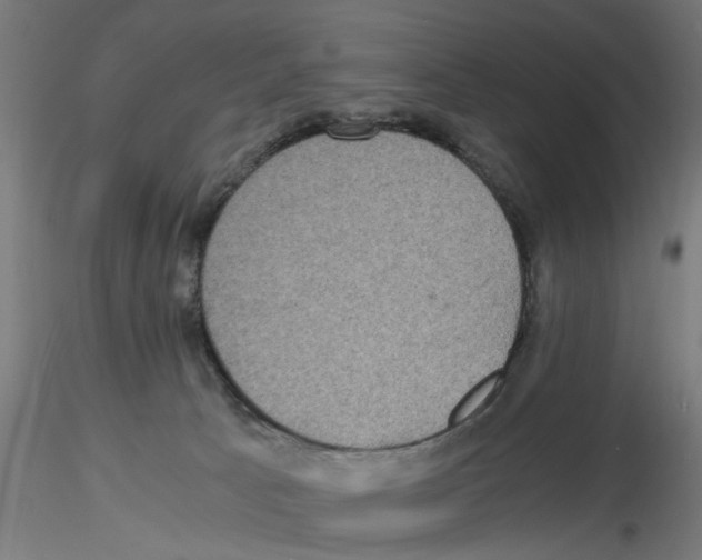 X0000116480033201001061129