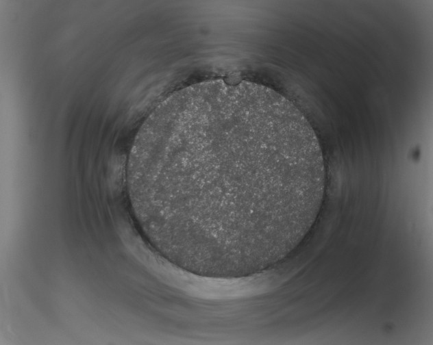 X0000116480034201001061129