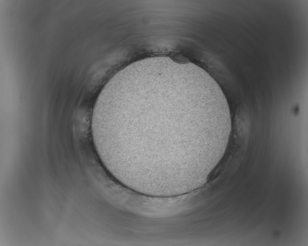 X0000116480037201001061129