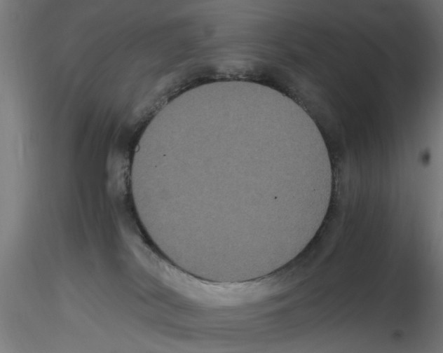 X0000116480038201001061129