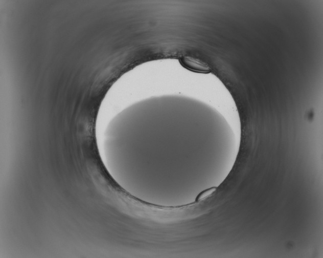 X0000116480039201001061129