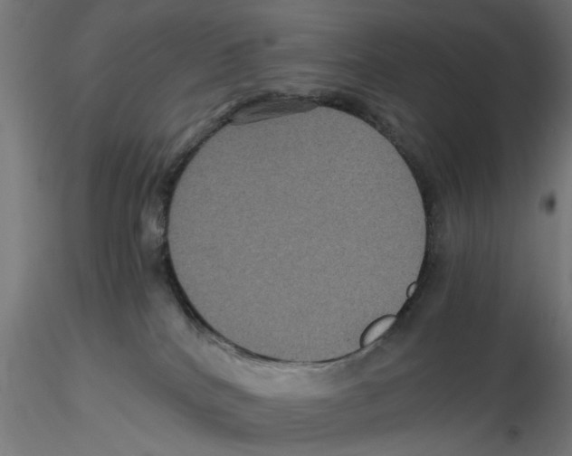 X0000116480040201001061129