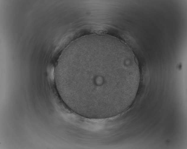 X0000116480041201001061129