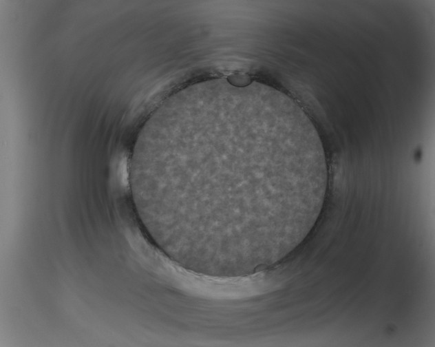 X0000116480042201001061129