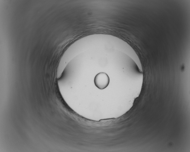 X0000116480043201001061129