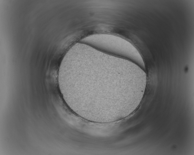 X0000116480045201001061129