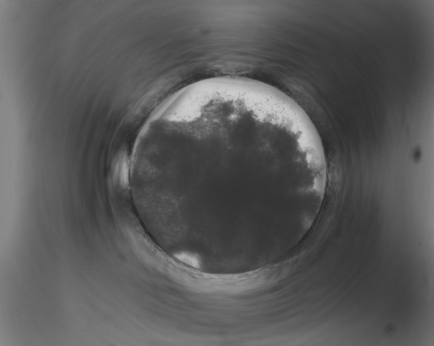 X0000116480046201001061129